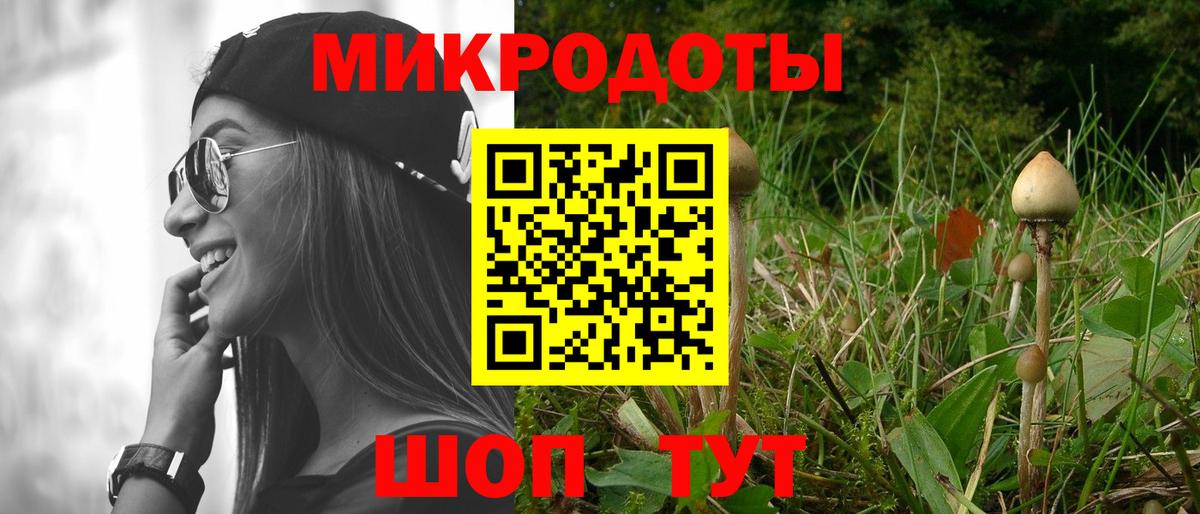 Галлюциногенные грибы Cubensis Нижнекамск
