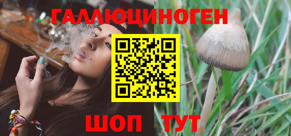 Псилоцибиновые грибы мицелий  дарнет шоп  Галлюциногенные грибы прущие грибы  Нижнекамск  Вход с VPN 